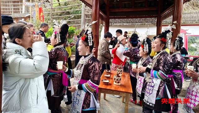 阳春三月，桂黔联动！广西70家旅行社齐聚从江，共绘旅游新画卷