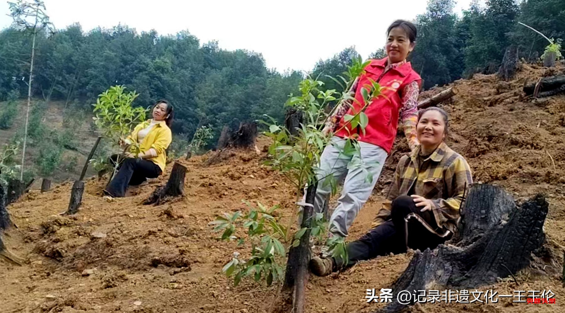 黄冬梅：用医学知识与无私奉献诠释乡村振兴担当