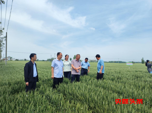 河南襄城:产教融合 助力乡村振兴