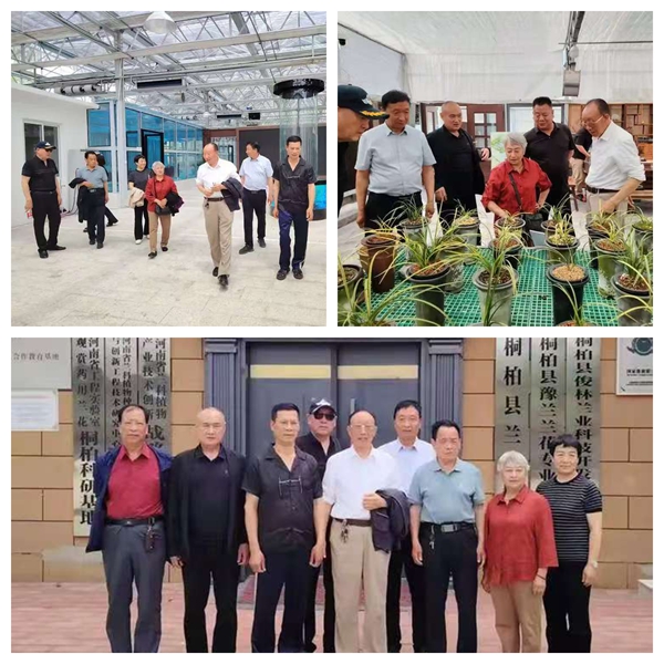 卢氏县老促会赴南阳市桐柏县和洛阳市嵩县考察学习兰花产业发展经验
