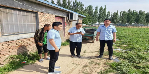 河南安阳:瓜熟蒂落愁销路 驻村帮扶显担当