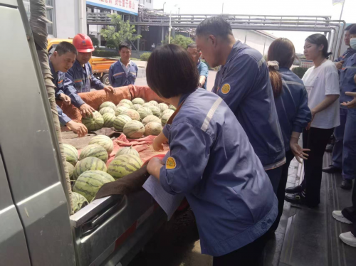 河南安阳:瓜熟蒂落愁销路 驻村帮扶显担当