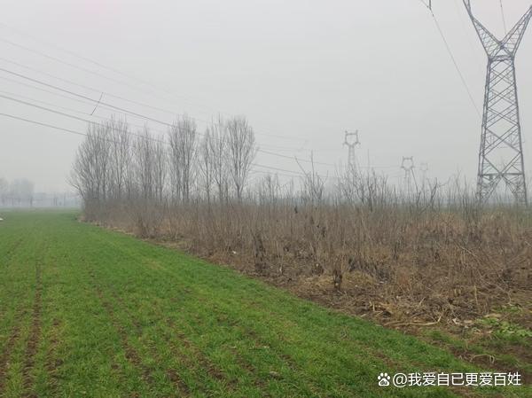 媒体关注河南沈丘“补贴黑洞”:杜庄村村支书被指涉嫌蚕食惠农资金