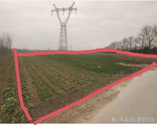 媒体关注河南沈丘“补贴黑洞”:杜庄村村支书被指涉嫌蚕食惠农资金
