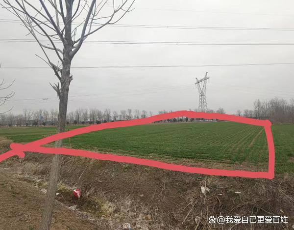 媒体关注河南沈丘“补贴黑洞”:杜庄村村支书被指涉嫌蚕食惠农资金