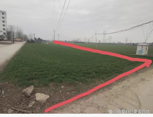 媒体关注河南沈丘“补贴黑洞”:杜庄村村支书被指涉嫌蚕食惠农资金