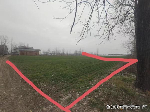 媒体关注河南沈丘“补贴黑洞”:杜庄村村支书被指涉嫌蚕食惠农资金